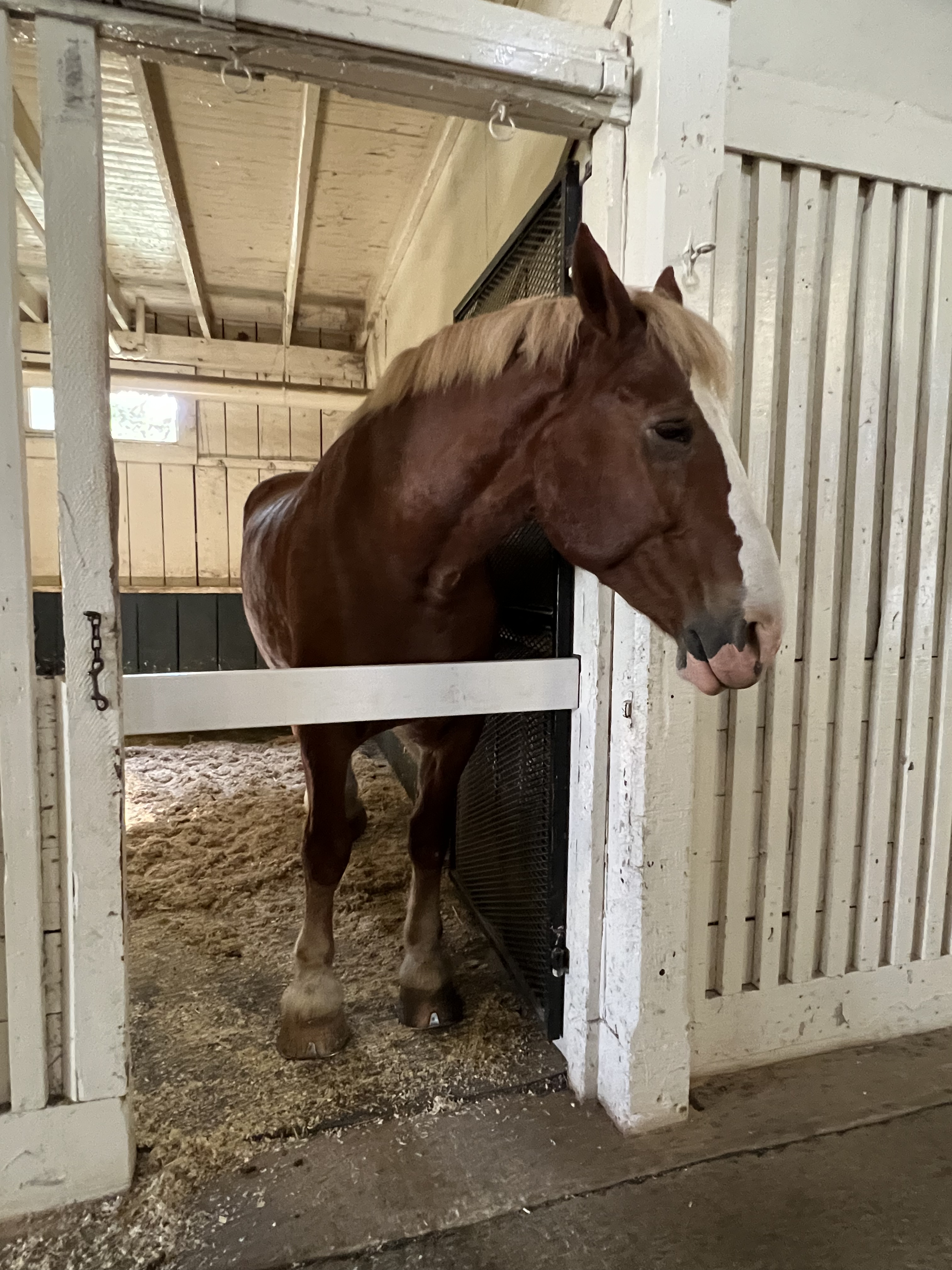 ./2023/12 - Kentucky/IMG_0197.jpg